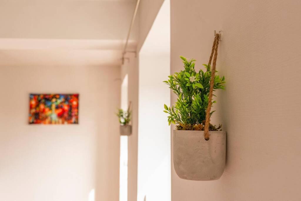 ❁La Pause Occitane❁ T3 Coeur De Ville Avec Parking Gaillac Exteriér fotografie
